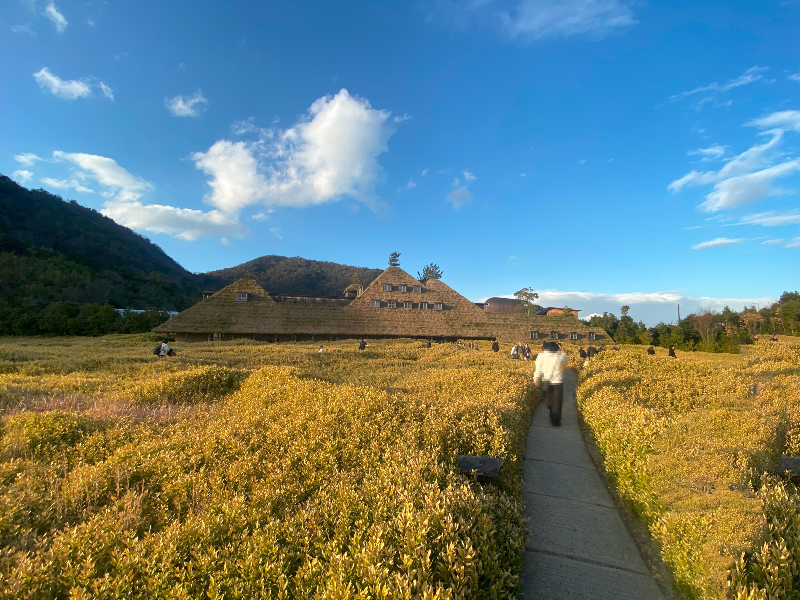 ラ コリーナ近江八幡のアプローチ